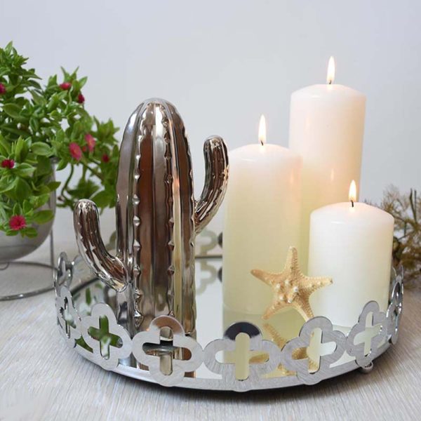 کاکتوس خیاری طلایی